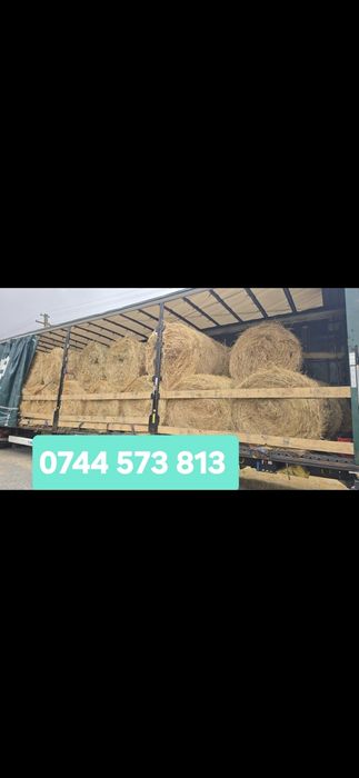 Baloti fan rotunzi sau Lucerna min.40.Drept.500.Transport inclus>RO UE