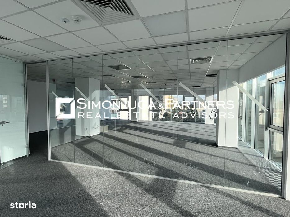 Birouri de inchiriat Brancusi