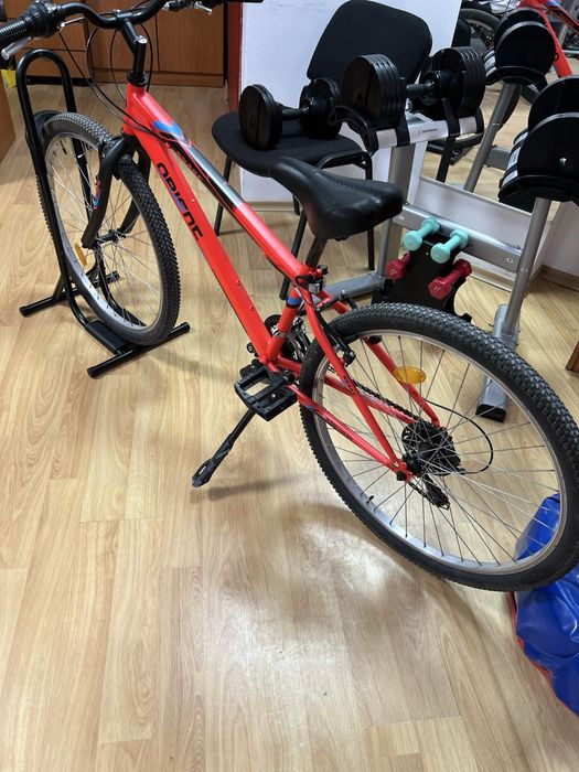 Orient Snake 26” 2023