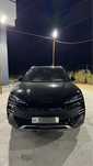Byd Chempion Restailing 2024
