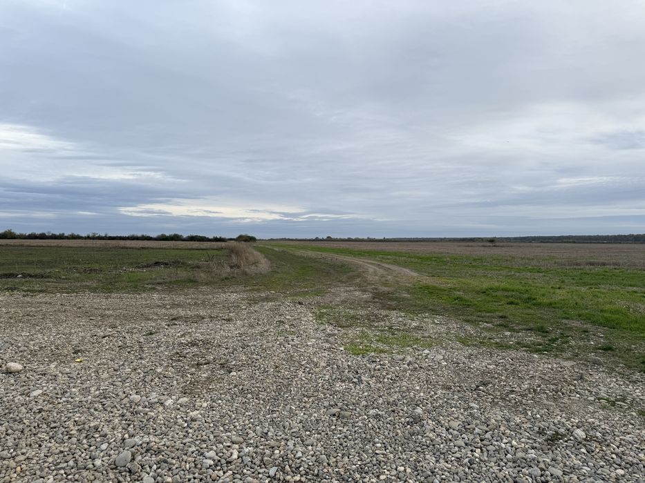 Acad. Titi Aur, 544 mp. langă E Forest, intravilan, particular