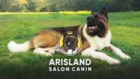 Salon canin Arisland, Moșnița Nouă
