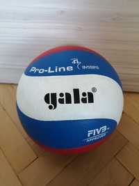 Волейболна топка GALA Pro Line - BV 5591 S