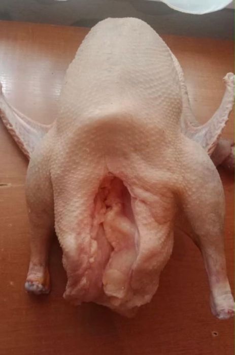 Гуси домашние продам