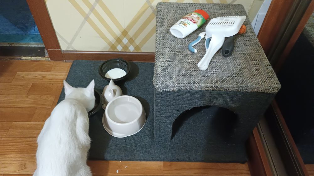 Домик продам для кошки