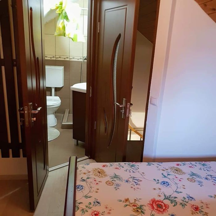 Inchiriez vila 5 camere in Paltinis. Cu ciubar