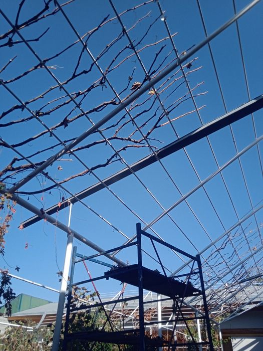 Садовник богбон ланшафтни дизайн газон хизмати