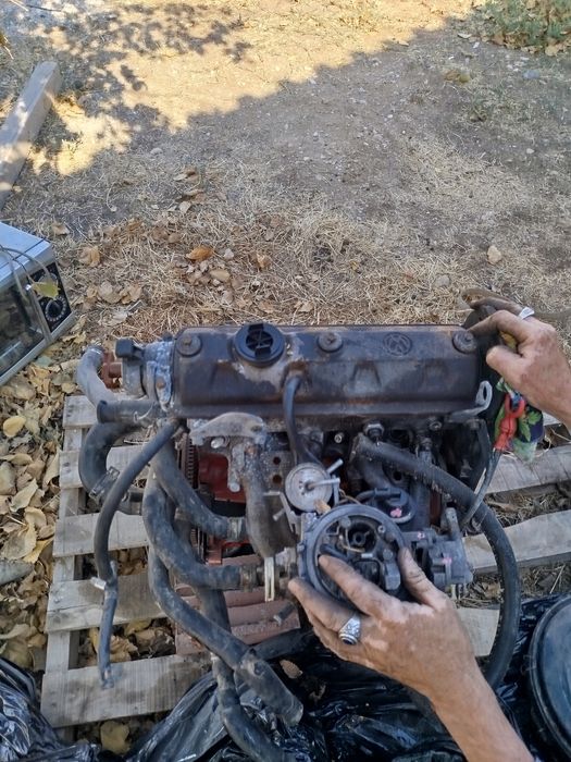 Продаётся Абу Матор