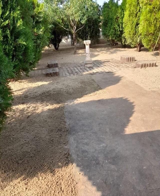 Sisteme de irigat , Gazonare cu rulouri , Însămânțare, Tuia