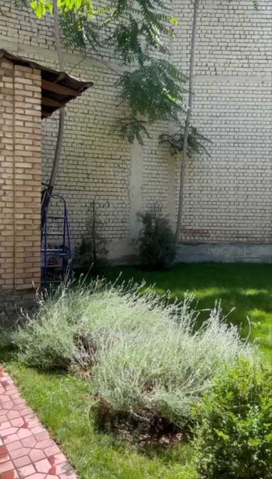 ул.Бабура ТРЦ Некст 4-ком 150 м² 4-сот ремонт меб/тех можно под офис