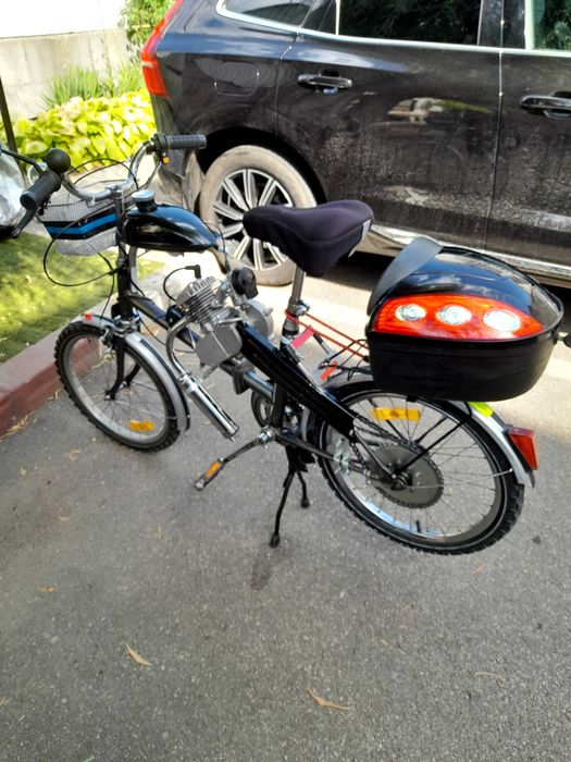 Pegas cu motor 80cc, 2t