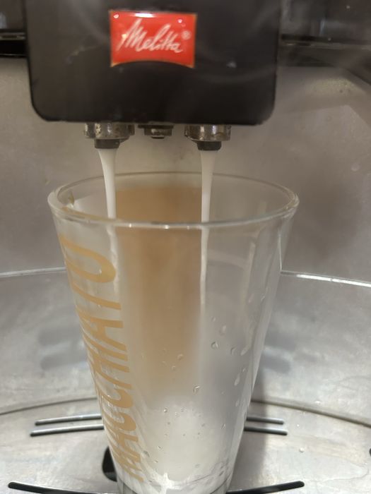 Espresor  cafea Melita Barista-piese