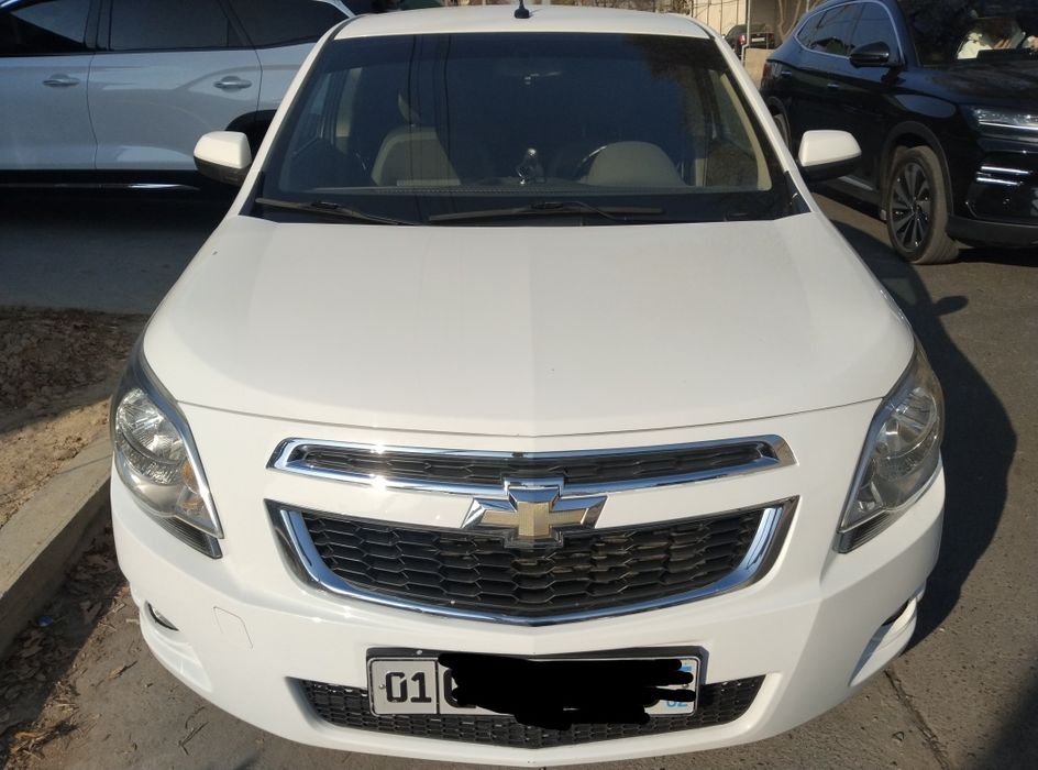 Cobalt 2022 gazi bor