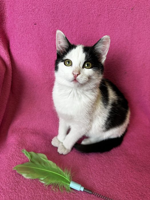 Малыш ищет нежную и заботливую семью!