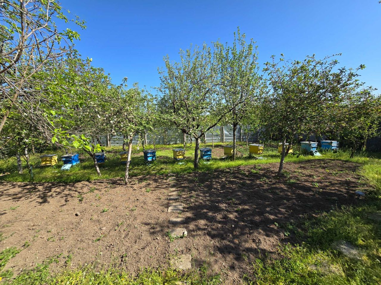 Продава се Къща в с. Медовене, Област Разград - 50 кв.м за 408 €/кв.м - Снимка #15