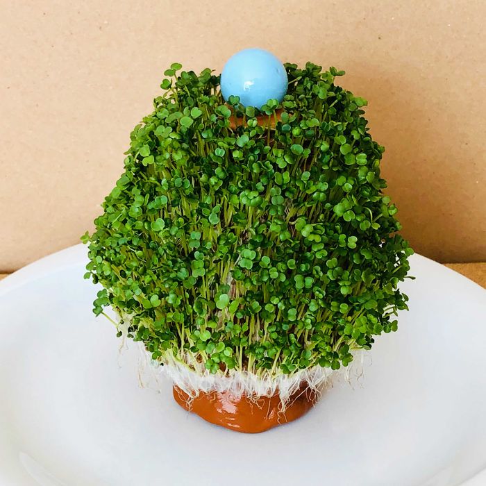 Рошлинки РошТаралеж, РошОвца