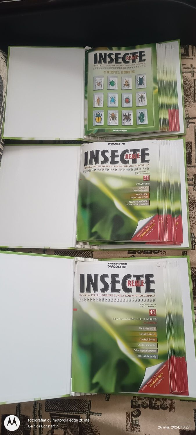 Colecția insecte reale deagostini