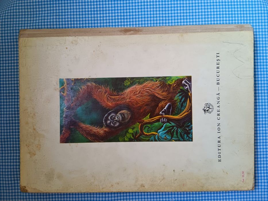 Carte Primul meu dictionar, Albin Stanescu, copii  perioada comunista