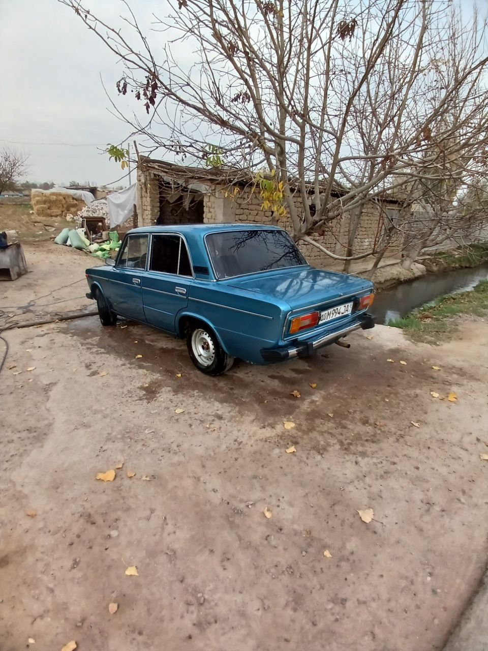 Juguli holati o'rtacha