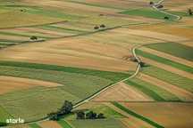 Achizitionam Teren Extravilan Agricol Arad Judet Arad