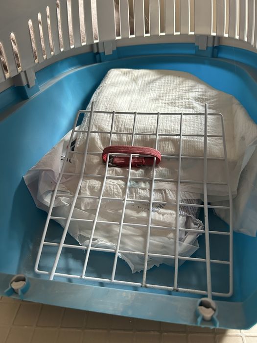 Cusca transport animale