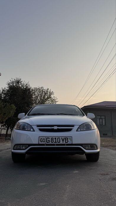 Oq rangli jentra sotaman, Onam haydaganlar