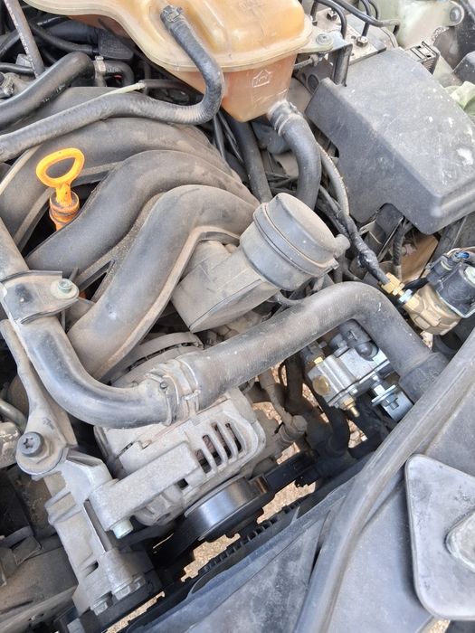 Gpl land renzo ink 9 ani