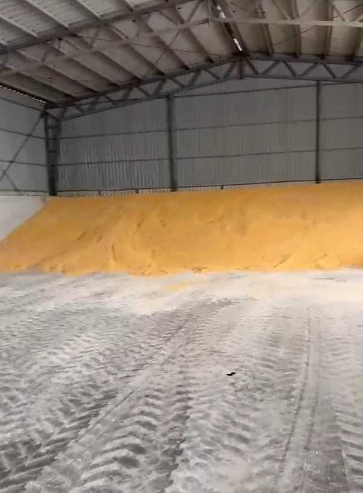 Vand porumb boabe - 1000 tone