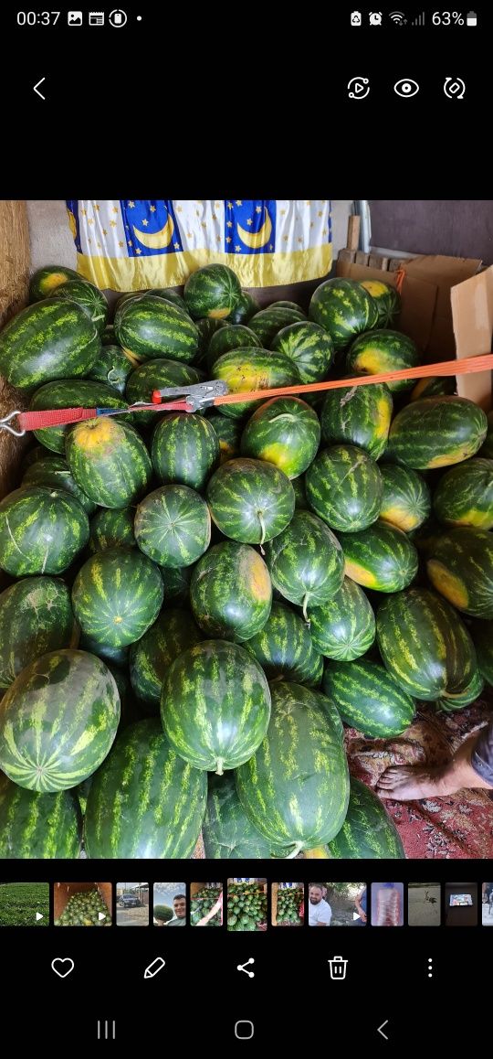 Pepeni de vanzare