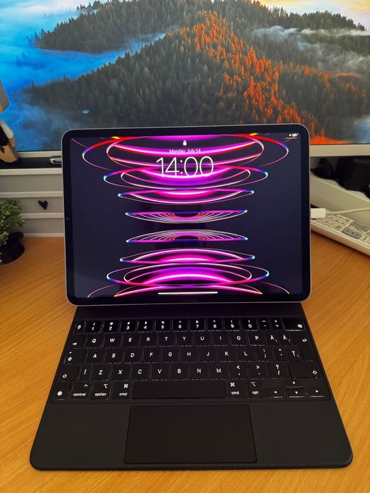 Ipad 11 pro 4th gen.M2 128gb 10/10