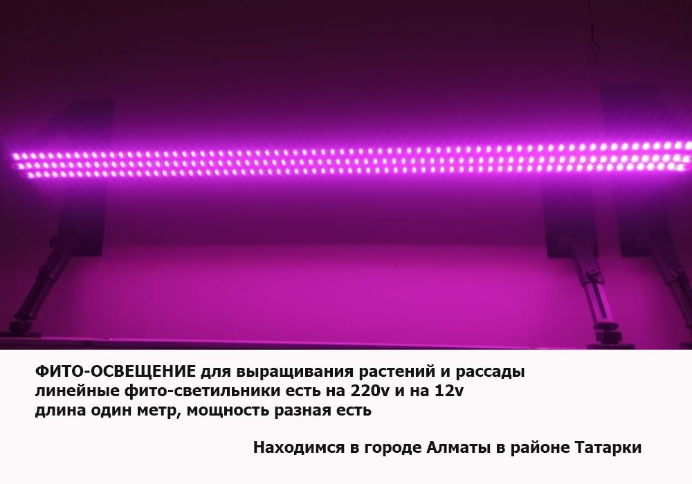 светодиодные ФИТО-ЛАМПЫ линейные фито-светильники для растений рассады