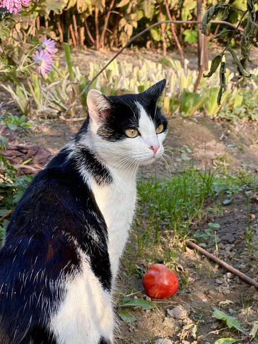 В добрые руки малышку