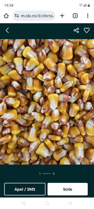 Cereale de anul acesta