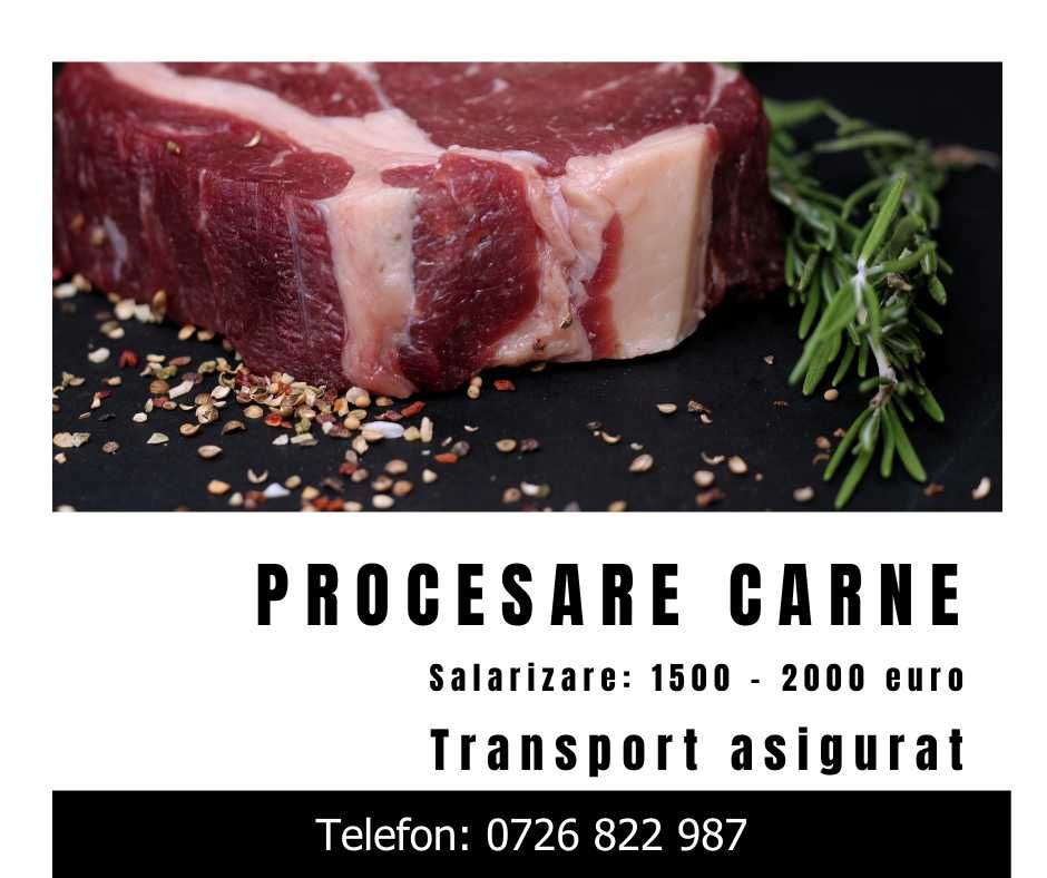 procesare/ transport asigurat
