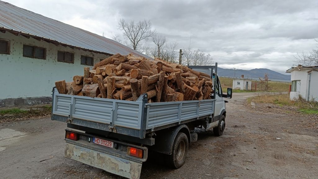 Lemn foc salcâm,fag,carpen stejar esență tare