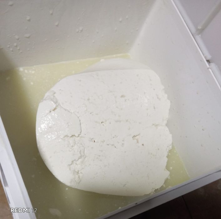 Brânză de capră fără miros!