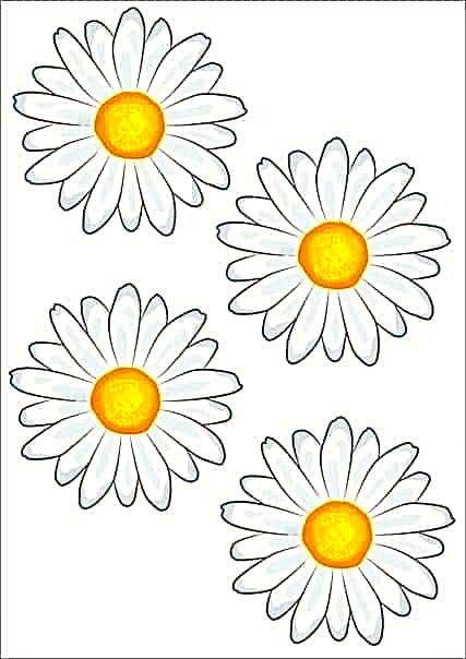 Ковёр 3*2 для гостиной