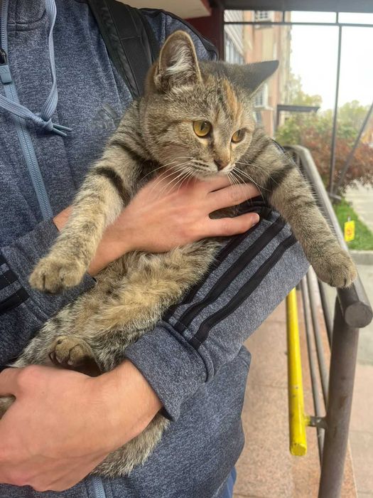 Отдается девочка в отличную семью