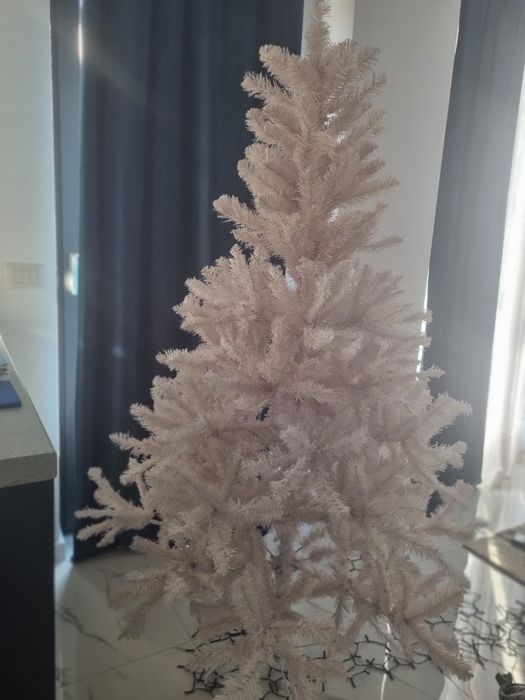 Brad Alb, mare – Preț redus!