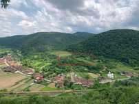 Livada pomi fructiferi Loc Borz, Bihor
