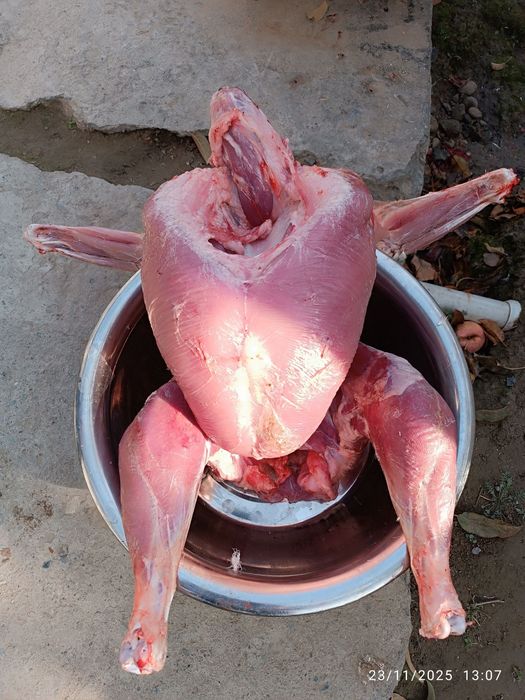 G'ulg'uli sotiladi kilosi 65000 ming sumdan sotiladi