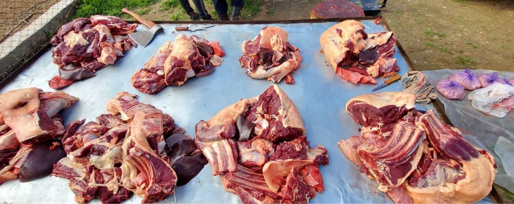 Жылқы еті жіліктеп , Мясо Конины Каспий Ред бар