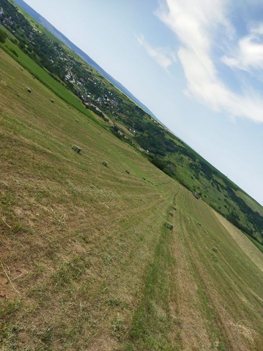 Baloți Dreptunghiulari de Lucernă 2025 -Coasa 3! Transport disponibil!