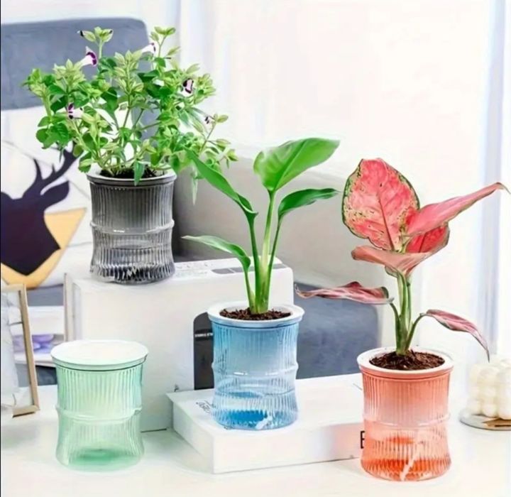 Кашпо с автополивом (фитильный полив)