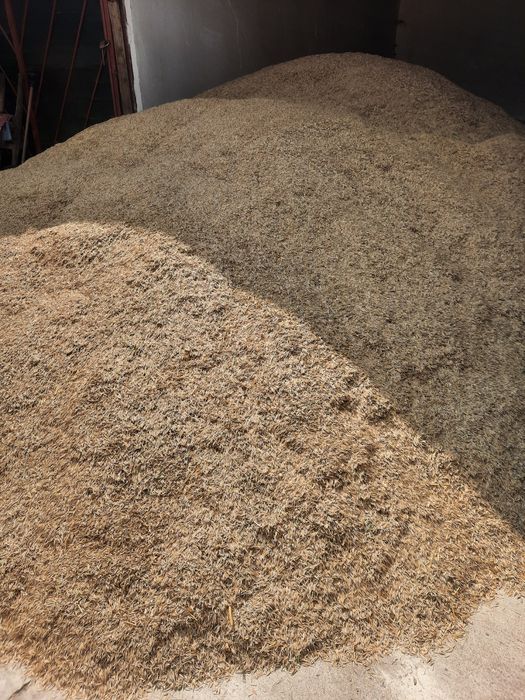 Vand ovaz pret 1.5 lei kg