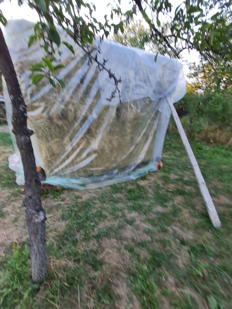 Vând baloti de fân. Vând 88 de baloti l