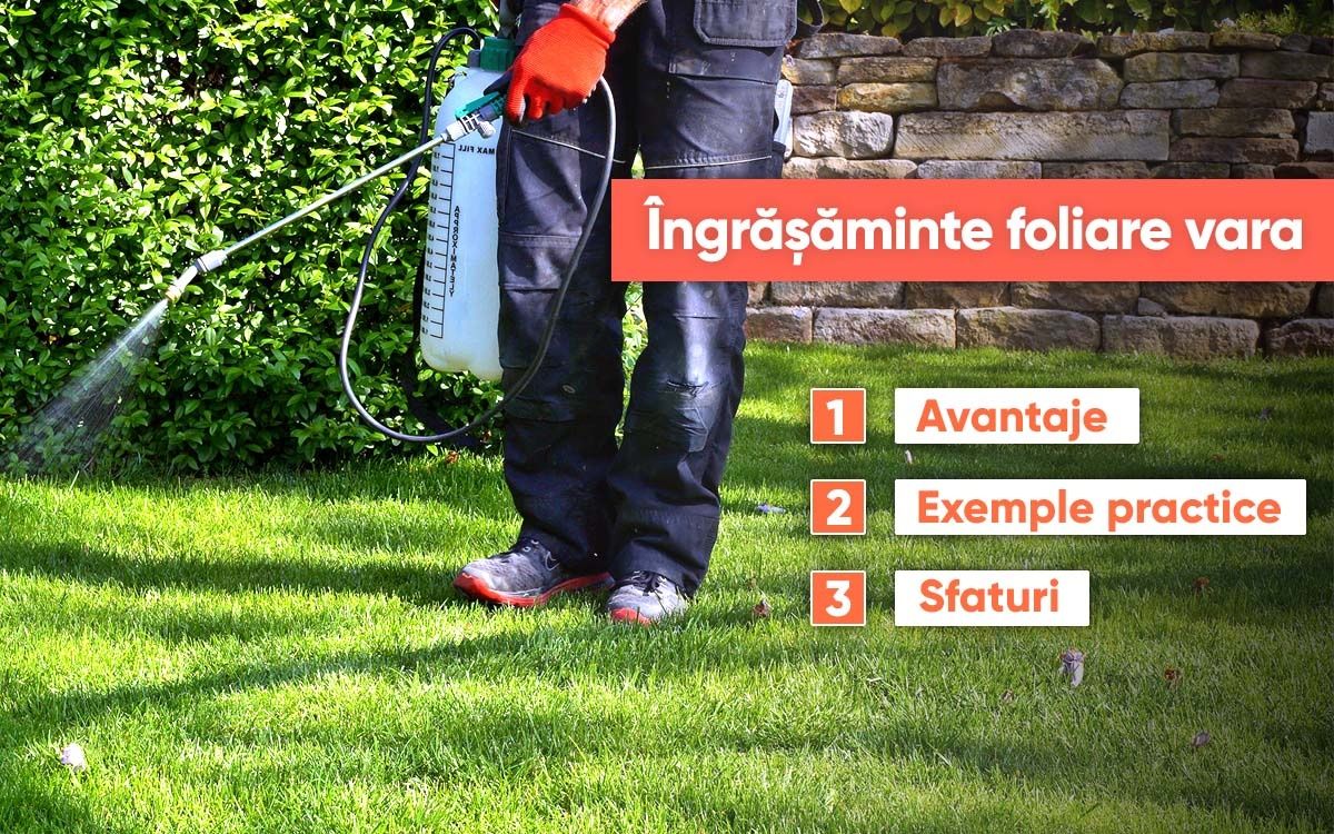> Întreținere gazon