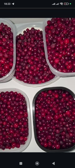 Клюква приз из России лечебные