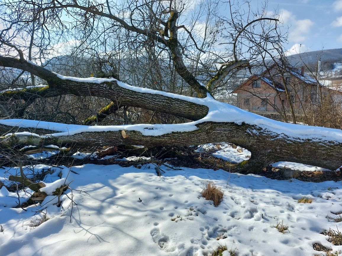 Vad nuc de lucru