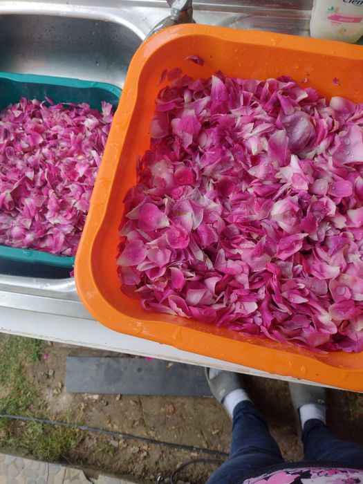 Dulceață de trandafir, flori de soc, nuci verzi, vișine, caise, cirese